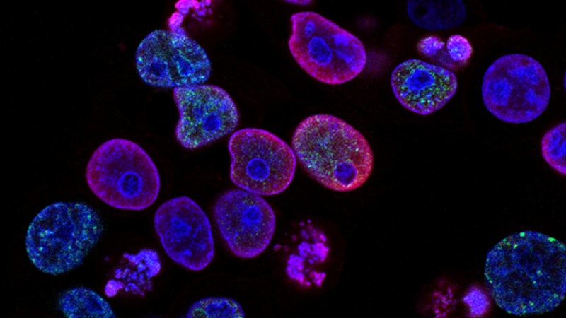 阻燃剂市场规模、趋势及预测（2026-2035年）
